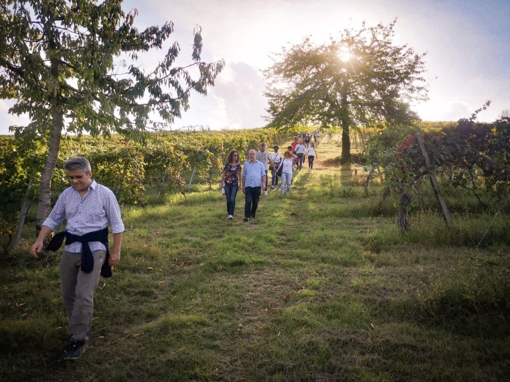 cinquequinti experience