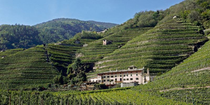 tenuta la gatta triacca