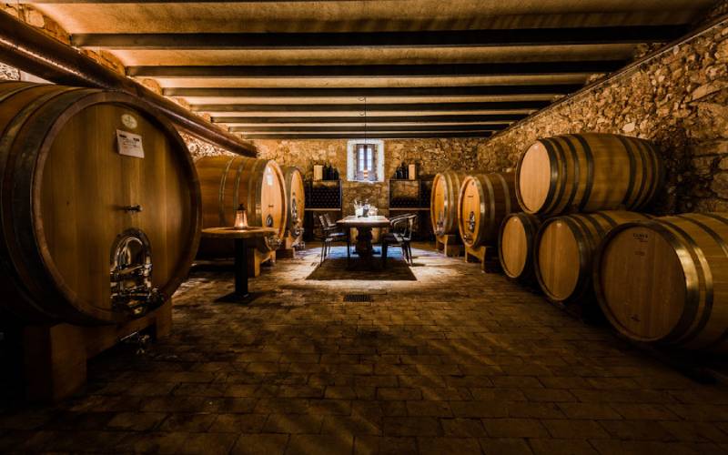 Massimago Wine Experience