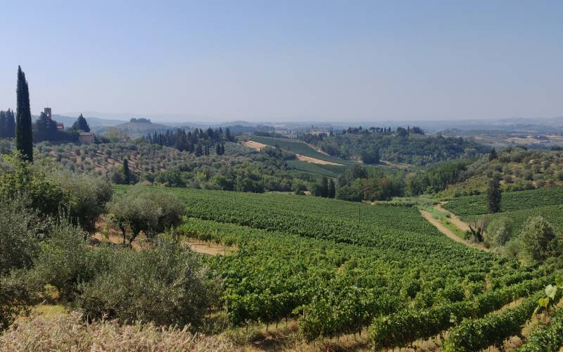 Villa il pozzo