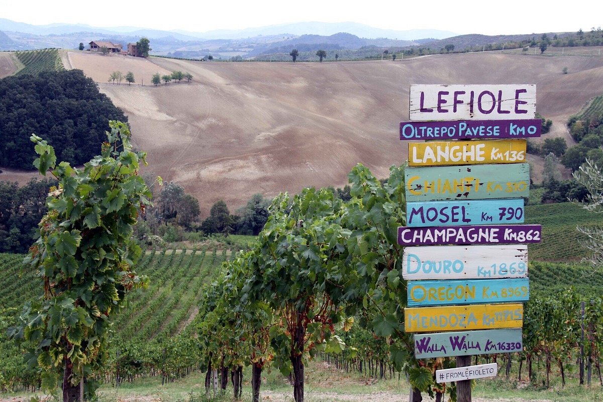 Lefiole - Divinea.com degustazione vino Oltrepo Pavese