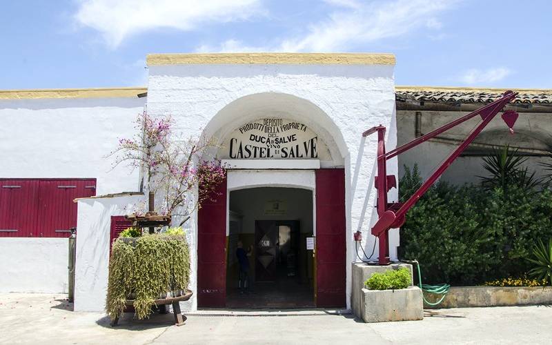 Castel di Salve - degustazione salento