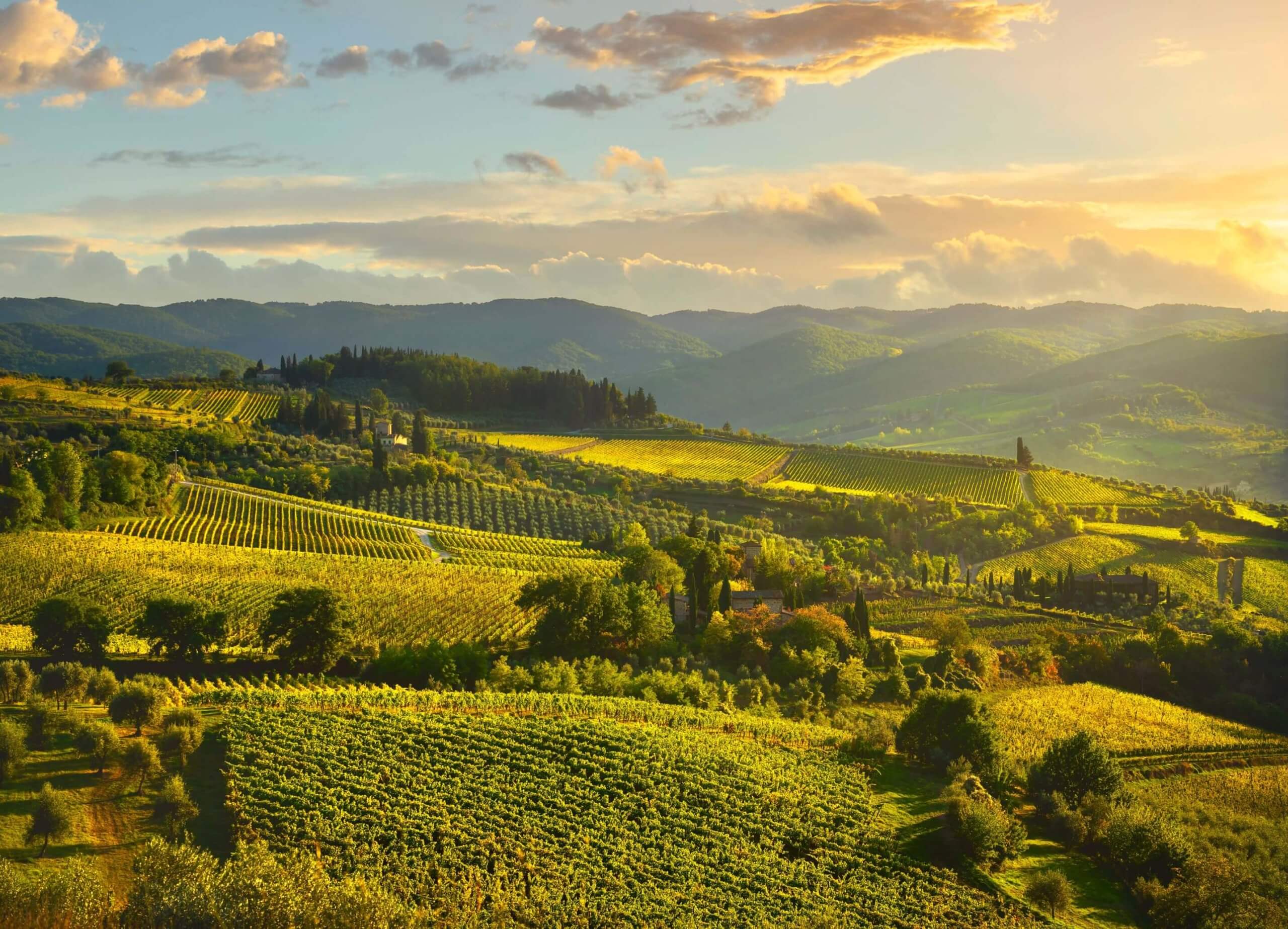 chianti classico divinea esperienze