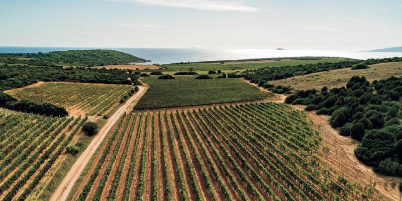 migliori cantine Sardegna