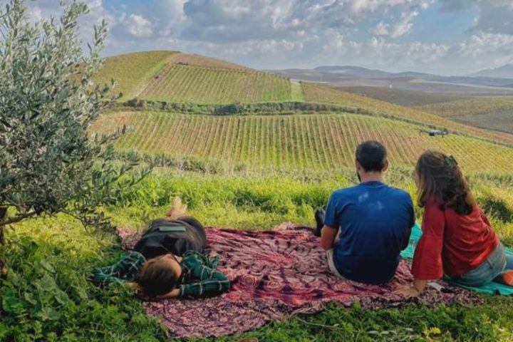 Winery tasting in Sicily