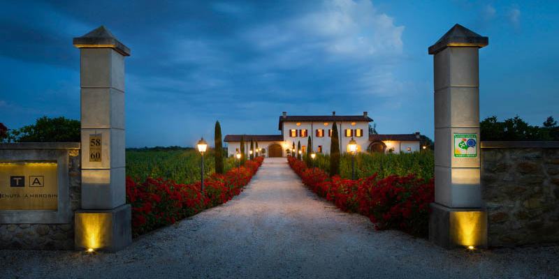 Tenuta Ambrosini