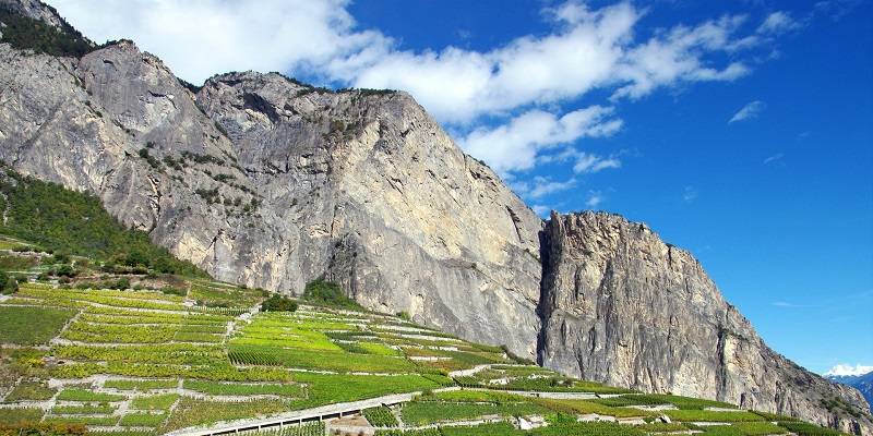 vigneti alta quota cambiamento climatico