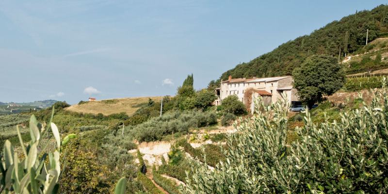 Ca dei conti 