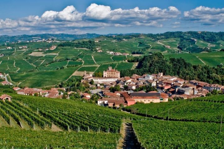 Barolo Tastings