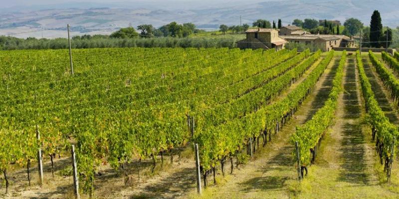 Brunello di Montalcino 