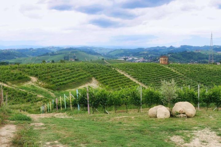 Cantine Alba
