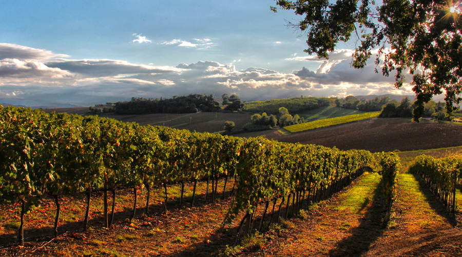 Cantine Perugia