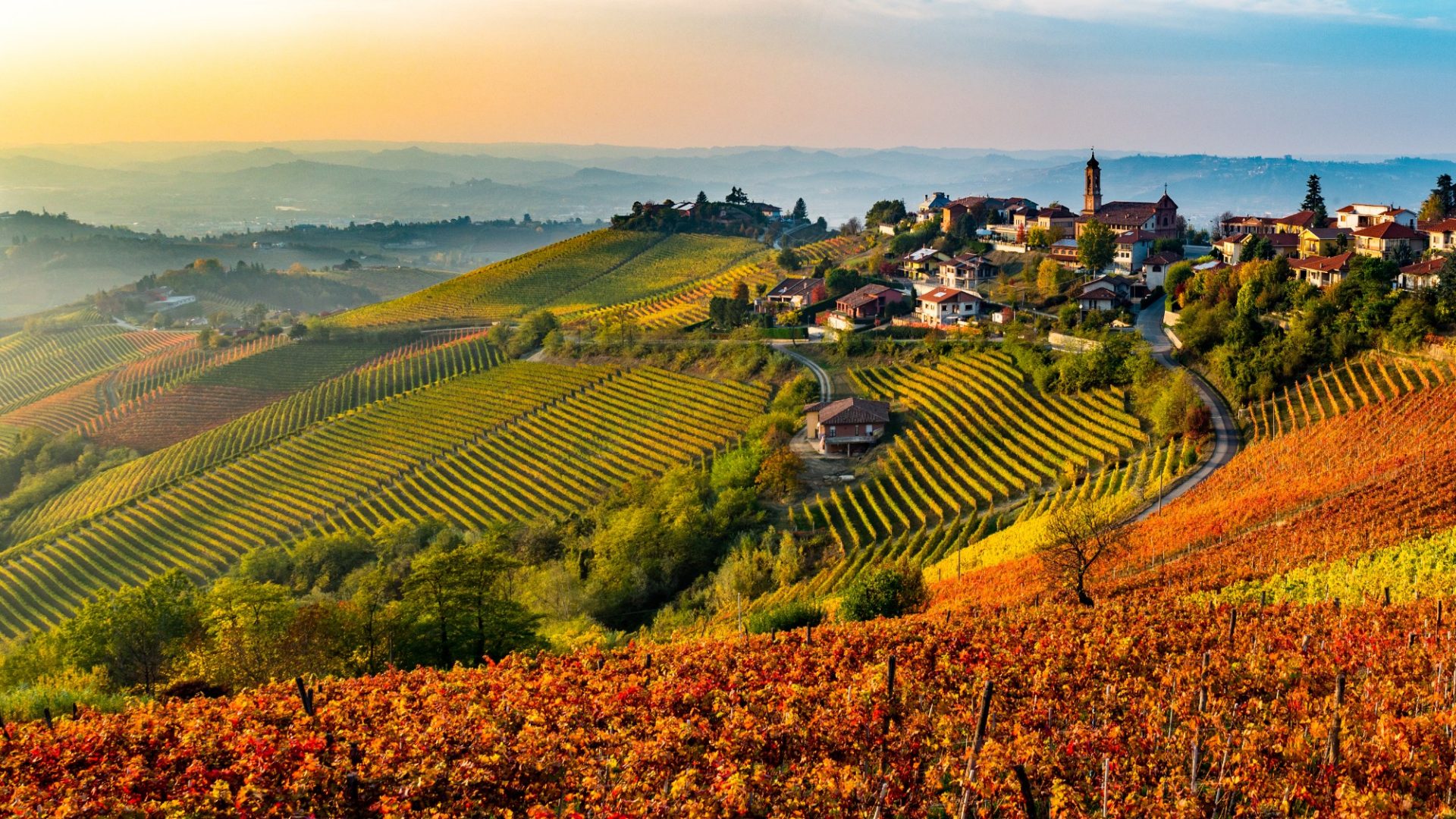 enogastronomia - Piemonte