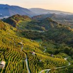 visit italy prosecco territory wine tourism wine tasting