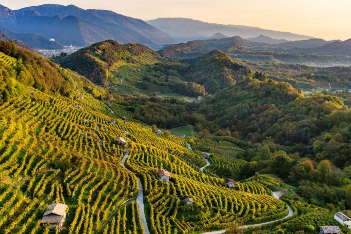 visit italy prosecco territory wine tourism wine tasting