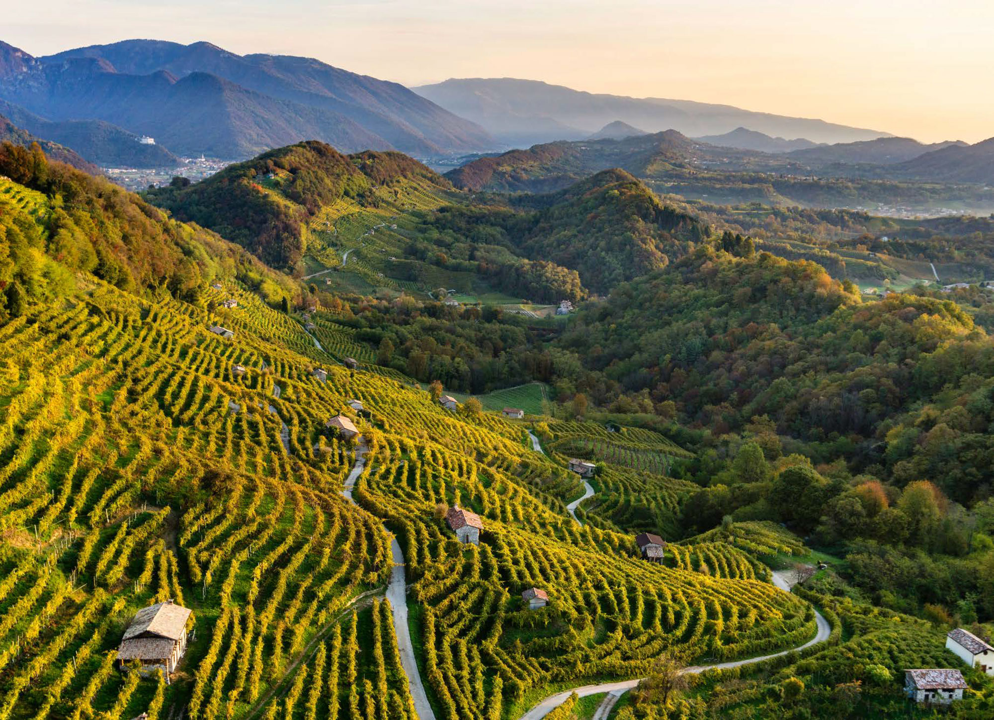 prosecco degustazioni divinea esperienze in cantina