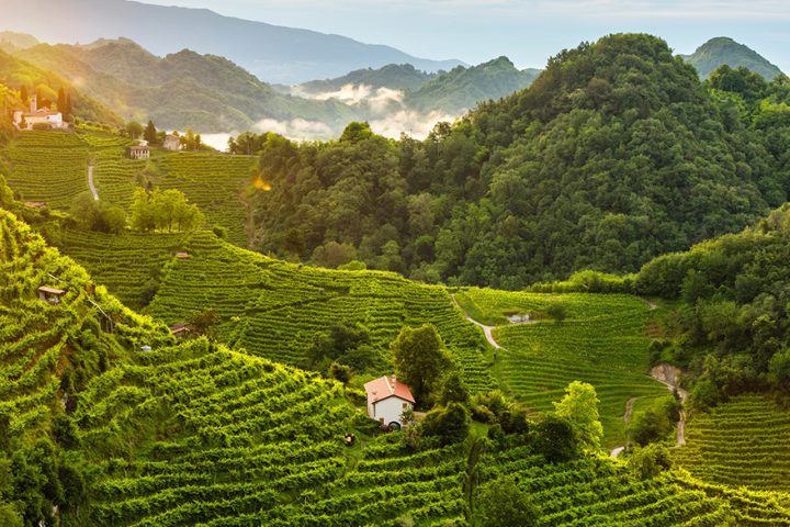 prosecco divinea esperienze cantine degustazioni