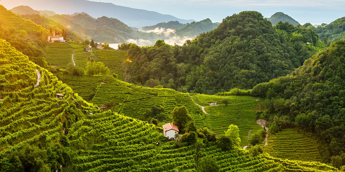 prosecco divinea esperienze cantine degustazioni