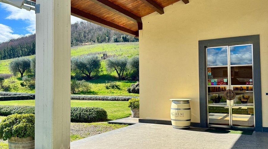 Argillae Degustazioni Vini - Divinea