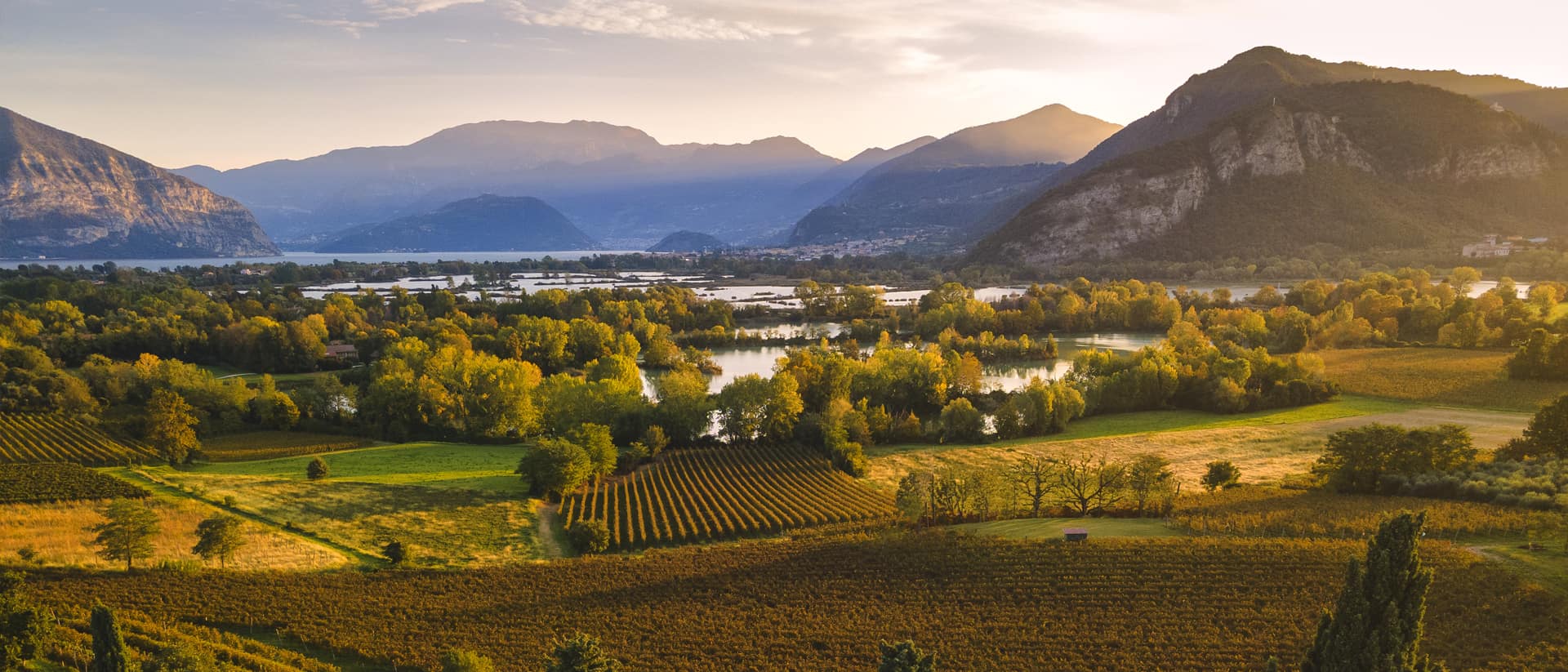 Franciacorta - Lago di Garda - Esperienze e degustazioni vino Enoturismo