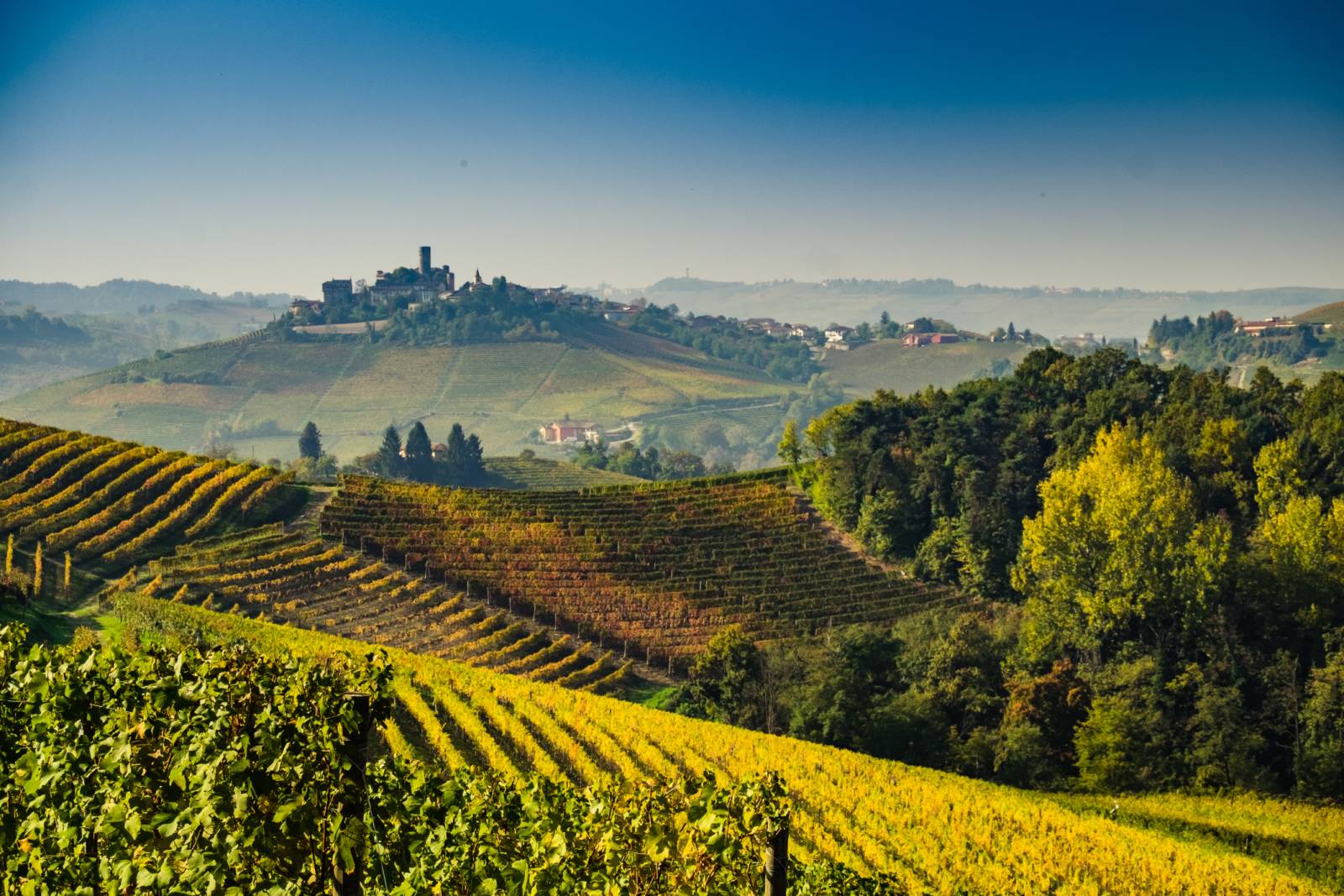 langhe piemonte degustazioni vini enoturismo